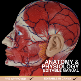 Lash & Brow Services Editable Manual