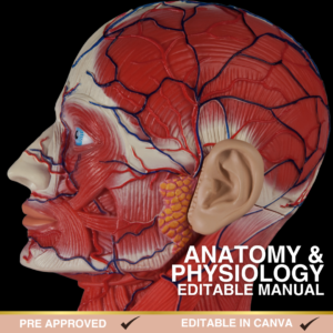 Anatomy and Physiology Editable Manual